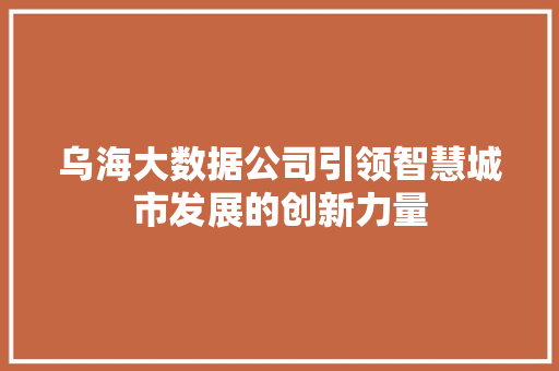 乌海大数据公司引领智慧城市发展的创新力量