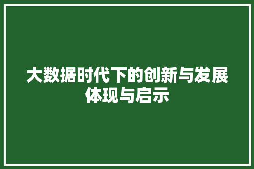 大数据时代下的创新与发展体现与启示  第1张