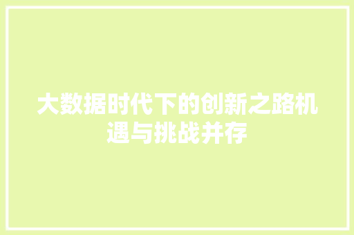 大数据时代下的创新之路机遇与挑战并存  第1张