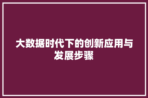 大数据时代下的创新应用与发展步骤  第1张
