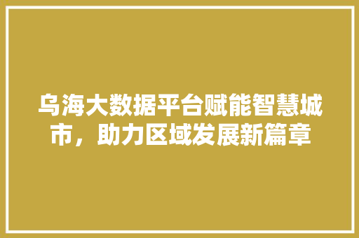 乌海大数据平台赋能智慧城市，助力区域发展新篇章