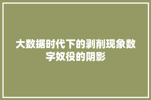 大数据时代下的剥削现象数字奴役的阴影