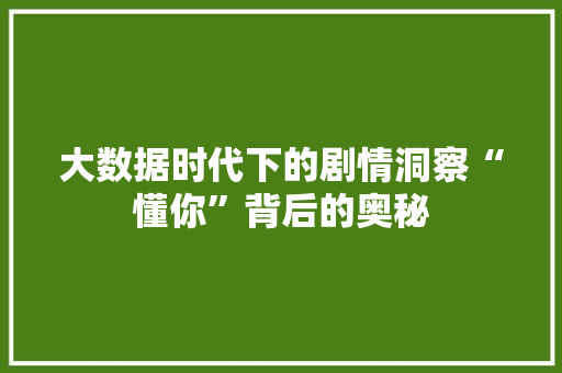 大数据时代下的剧情洞察“懂你”背后的奥秘