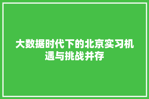 大数据时代下的北京实习机遇与挑战并存