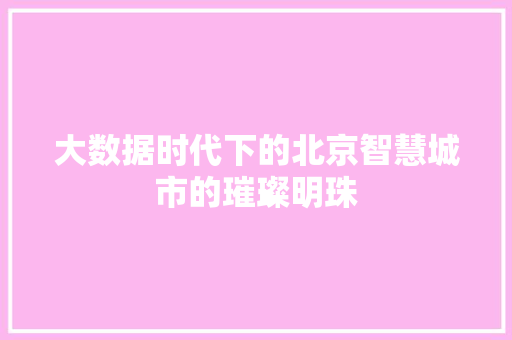 大数据时代下的北京智慧城市的璀璨明珠  第1张