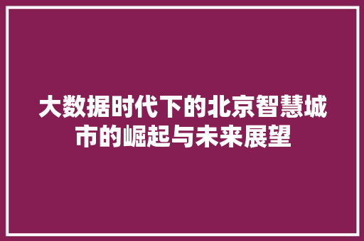 大数据时代下的北京智慧城市的崛起与未来展望  第1张