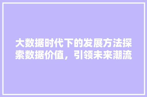 大数据时代下的发展方法探索数据价值，引领未来潮流  第1张