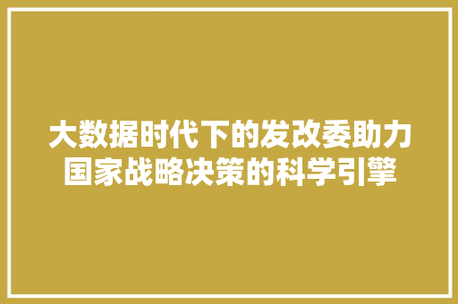 大数据时代下的发改委助力国家战略决策的科学引擎  第1张