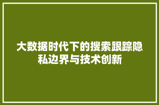 大数据时代下的搜索跟踪隐私边界与技术创新