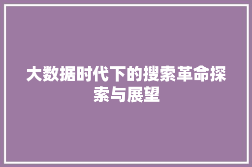 大数据时代下的搜索革命探索与展望  第1张