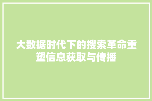 大数据时代下的搜索革命重塑信息获取与传播