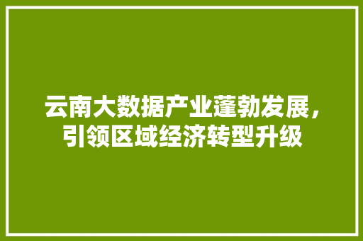 云南大数据产业蓬勃发展，引领区域经济转型升级