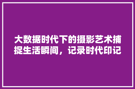大数据时代下的摄影艺术捕捉生活瞬间，记录时代印记