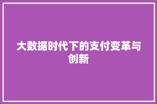 大数据时代下的支付变革与创新  第1张