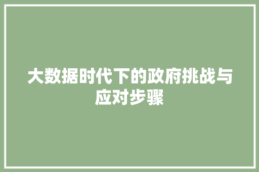 大数据时代下的政府挑战与应对步骤