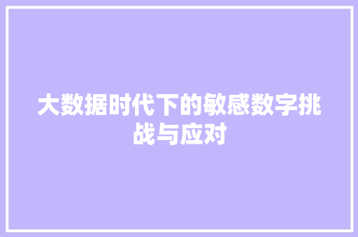 大数据时代下的敏感数字挑战与应对