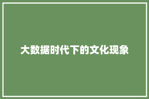 大数据时代下的文化现象  第1张