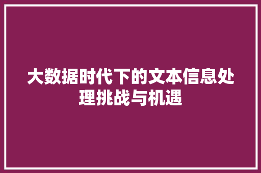 大数据时代下的文本信息处理挑战与机遇  第1张