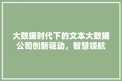 大数据时代下的文本大数据公司创新驱动，智慧领航  第1张