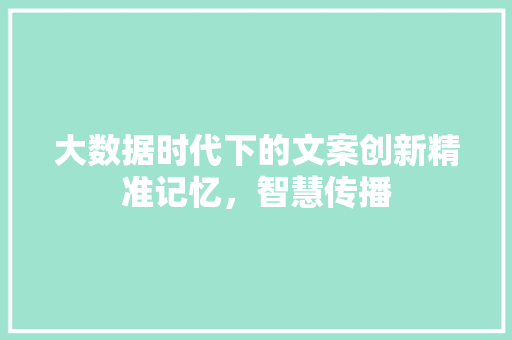 大数据时代下的文案创新精准记忆，智慧传播  第1张