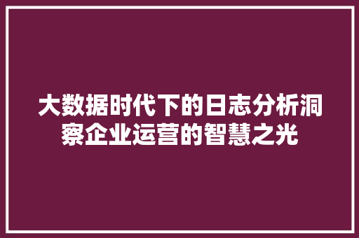 大数据时代下的日志分析洞察企业运营的智慧之光