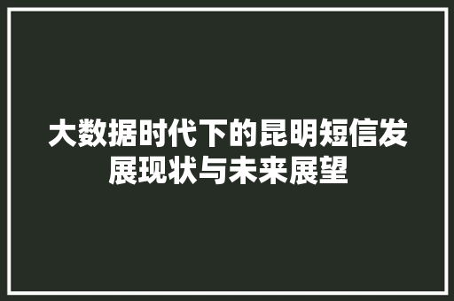 大数据时代下的昆明短信发展现状与未来展望  第1张
