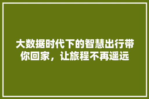 大数据时代下的智慧出行带你回家，让旅程不再遥远