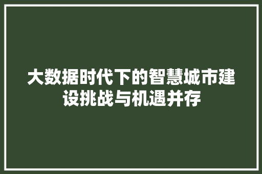 大数据时代下的智慧城市建设挑战与机遇并存  第1张