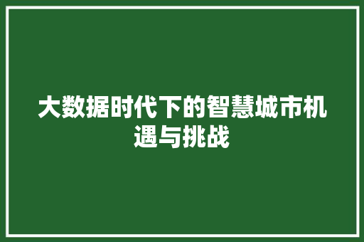 大数据时代下的智慧城市机遇与挑战  第1张