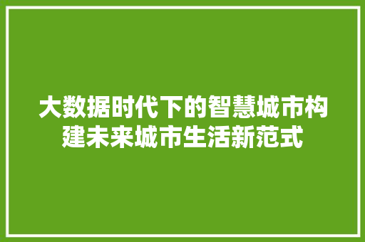 大数据时代下的智慧城市构建未来城市生活新范式