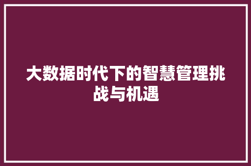大数据时代下的智慧管理挑战与机遇  第1张