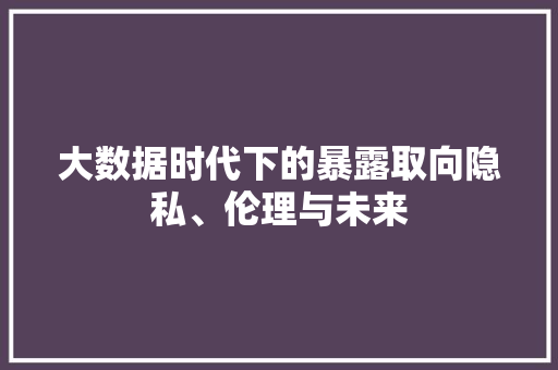 大数据时代下的暴露取向隐私、伦理与未来  第1张