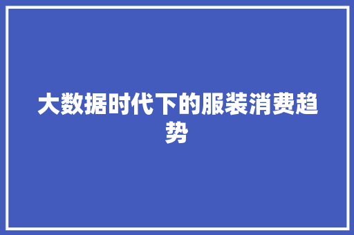 大数据时代下的服装消费趋势  第1张