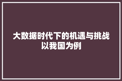大数据时代下的机遇与挑战以我国为例
