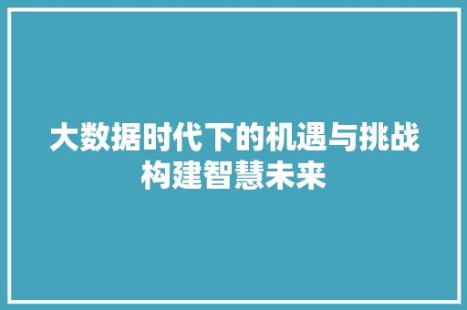大数据时代下的机遇与挑战构建智慧未来  第1张