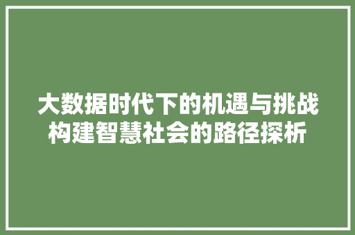 大数据时代下的机遇与挑战构建智慧社会的路径探析  第1张