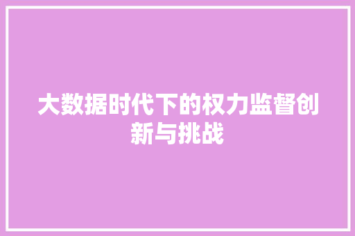 大数据时代下的权力监督创新与挑战  第1张