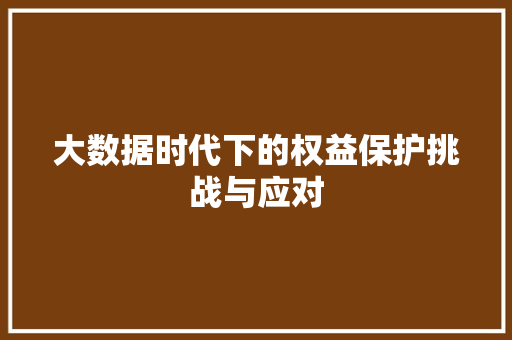 大数据时代下的权益保护挑战与应对  第1张