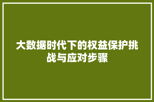 大数据时代下的权益保护挑战与应对步骤