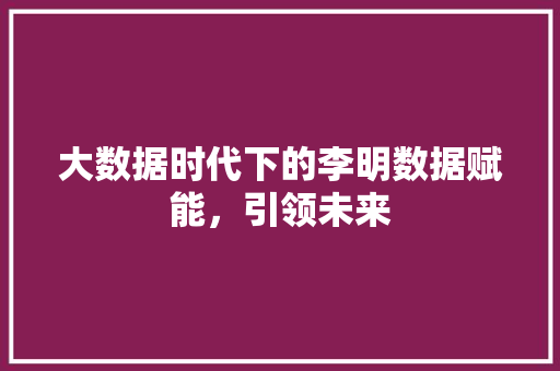 大数据时代下的李明数据赋能，引领未来