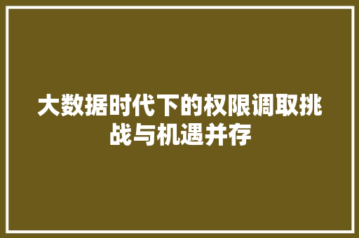 大数据时代下的权限调取挑战与机遇并存
