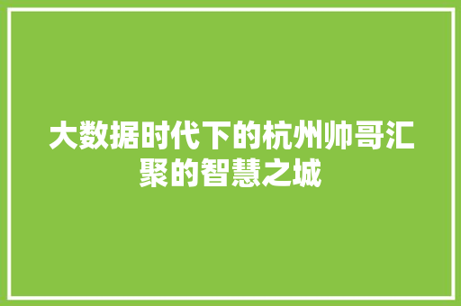 大数据时代下的杭州帅哥汇聚的智慧之城  第1张