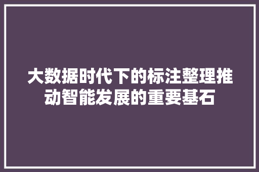 大数据时代下的标注整理推动智能发展的重要基石  第1张
