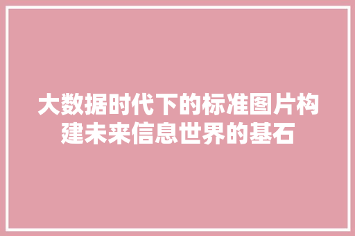 大数据时代下的标准图片构建未来信息世界的基石  第1张
