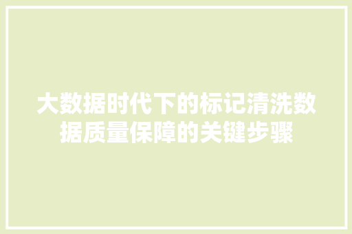 大数据时代下的标记清洗数据质量保障的关键步骤  第1张
