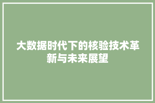 大数据时代下的核验技术革新与未来展望