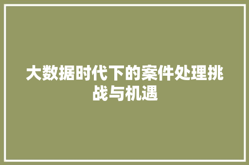 大数据时代下的案件处理挑战与机遇  第1张