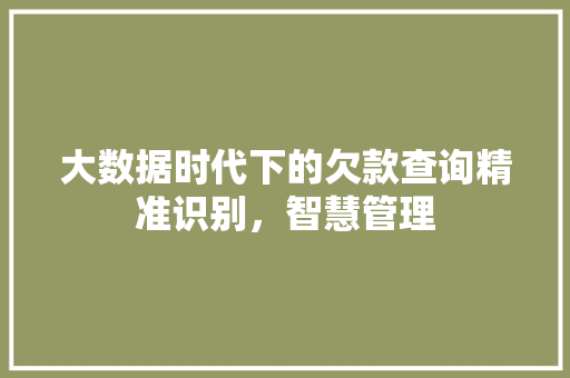 大数据时代下的欠款查询精准识别，智慧管理