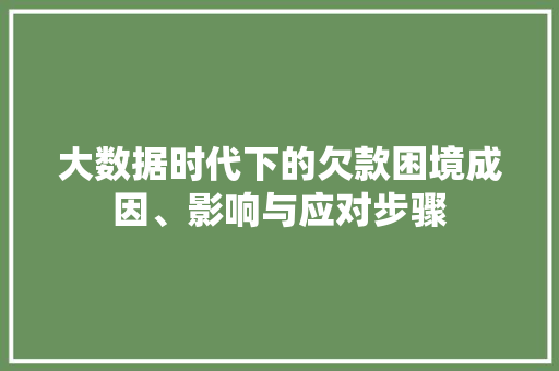 大数据时代下的欠款困境成因、影响与应对步骤