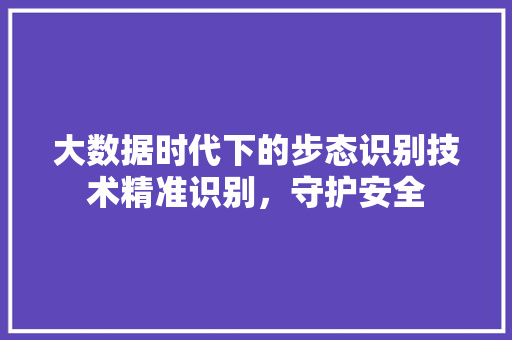 大数据时代下的步态识别技术精准识别，守护安全